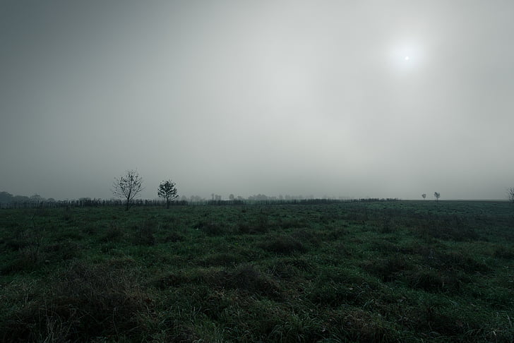 Marsh, Moor, plat, peisaj, umed, ceaţă, ceata