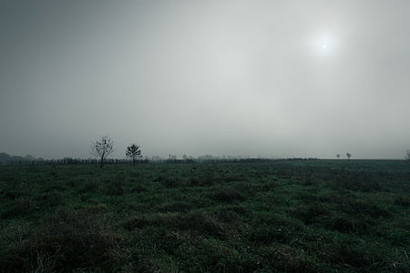 блато, Moor, плосък, пейзаж, мокър, мъгливо, мъгла