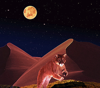 Puma, predátor, kočka divoká, Hunt, Fantasy obrázky, obraz fantasy, skok