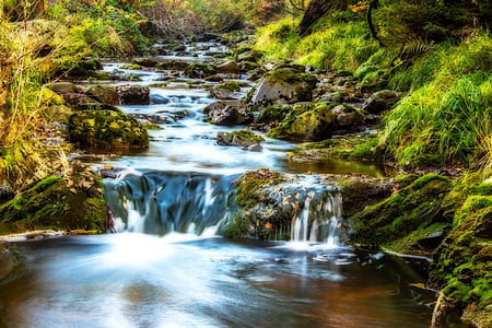cascade, creek, environment, flow, flowing, landscape, leaves