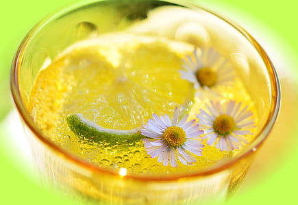 limão, erfrischungsgetränk, desintoxicação, água mineral, refresco, bebida, vidro