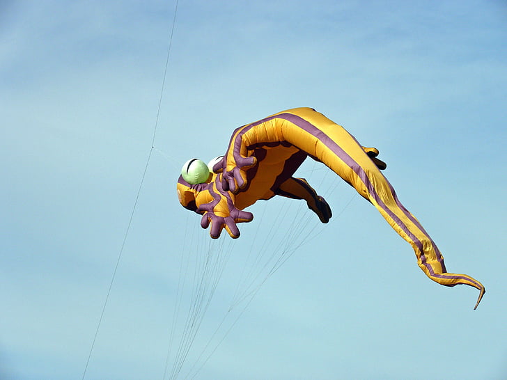 glente, Lizard kite, flyvende kite