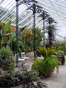 rastlinjaku, toplogrednih, rastlin, rastlinjak, vrtnarstvo, vrtec, steklo
