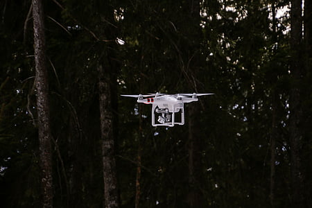 drone, drone phantom 3, drone phantom, aerial view, fly, nature, forest