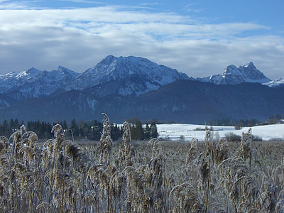 tó, hegyi panorámával, Allgäu, fagy, téli