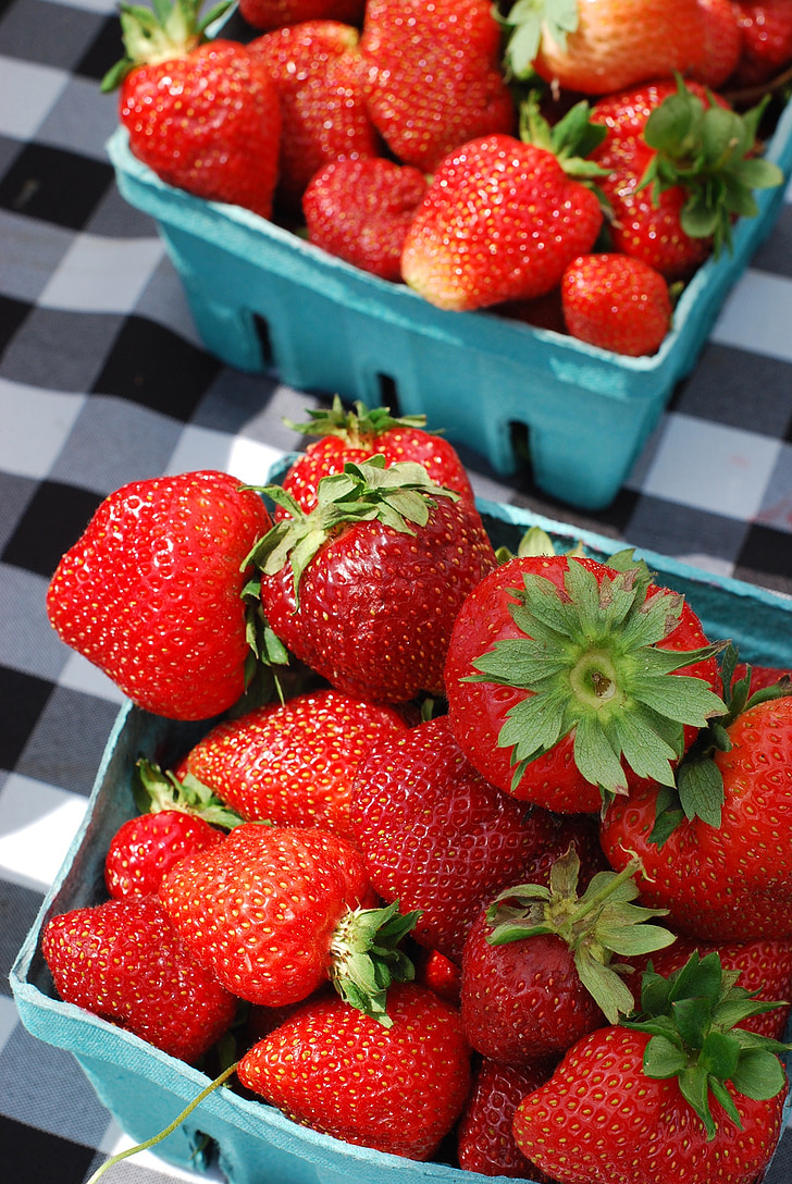 jahody, Jahodový košík, ovoce, Berry, zemědělství, léto, zralé