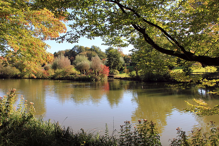 parku, jezero, rybník, zrcadlení, podzim, voda, stromy