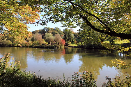 Park, jezero, ribnik, zrcaljenje, jeseni, vode, dreves