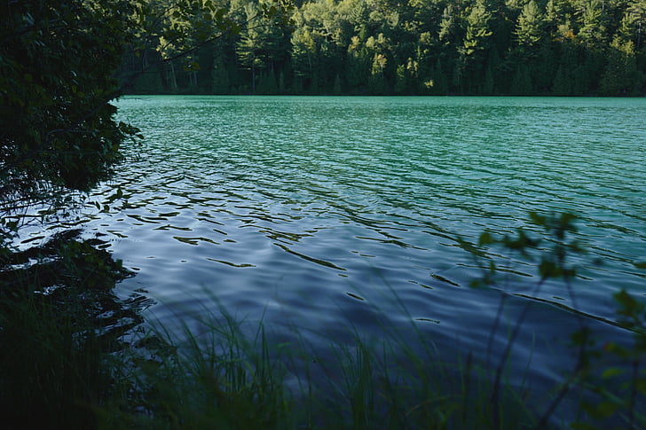 calme, corps, eau, entouré, arbres, Lac, vert