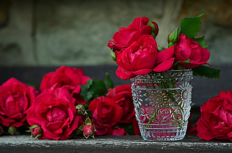 red, roses, clear, glass, vase, beauty, flowers