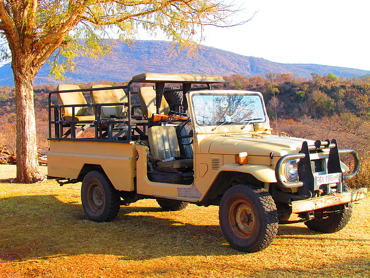 Safari, Jeep, pojazd, Offroad, off road, Park, Republika Południowej Afryki