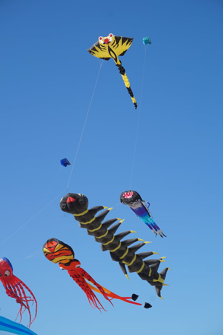 kite, sky, wind, berck-plage, flying, blue