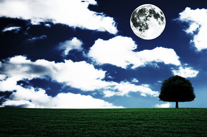 pleine lune, paysage, Fantasia, arbre