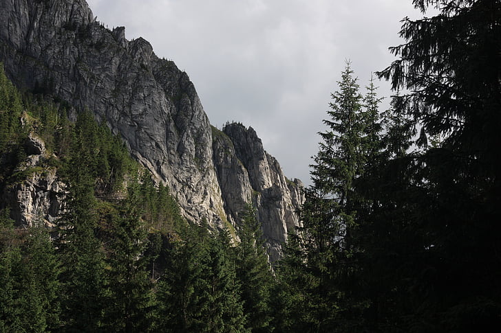 Tatrai, Kościeliska slėnis, akmenų, Rodyti, turizmo, Gamta, kalnų