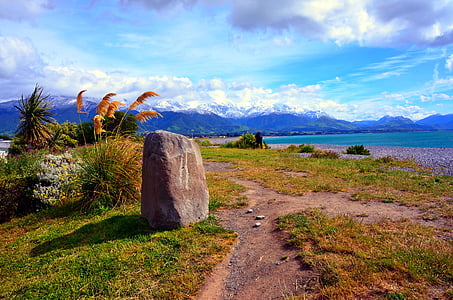 new zealand, landscape, mountains, view, nature, blue, meadow