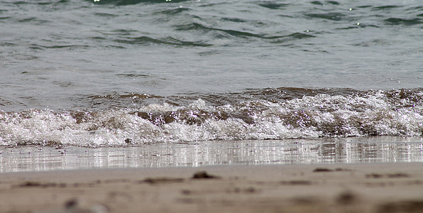 water, beach, the sea, background, holiday, water edge, sandy beach