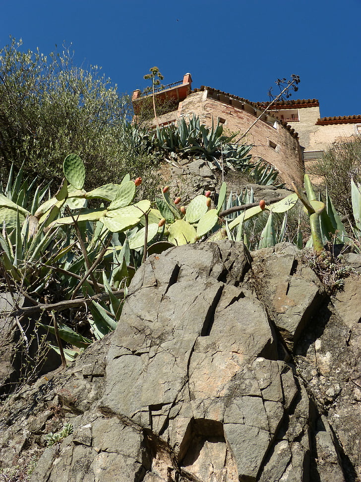 Rokas, namai, augalija, Priorat, Mūrinis Namas, ant kalno, akmenys