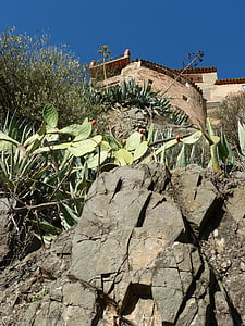 Roca, cases, vegetació, Priorat, casa de pedra, Puig, pedres