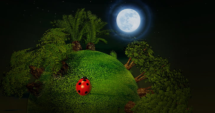 smallworld, 작은 행성, 플래닛, 공, 나무, 딱정벌레, 무당벌레