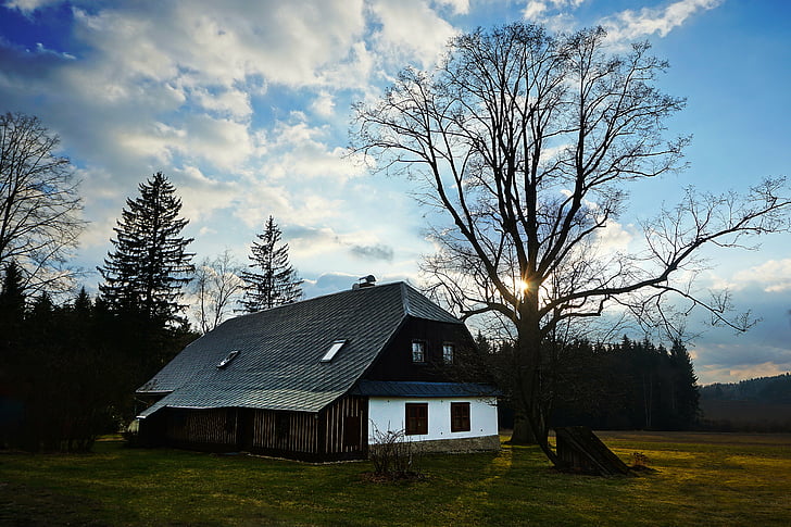 Stuga, regionen vysočina, träd, bakgrundsbelysning, solen, naturen, solnedgång