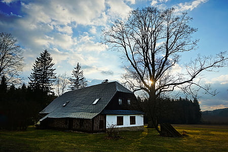 cottage, the vysočina region, tree, backlight, sun, nature, sunset