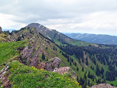 Allgäu, góry, Rock, alpejska, łąka, lasu, nagelfluhkette
