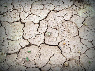 soil, rough, earth, split, crack, ecology, summer