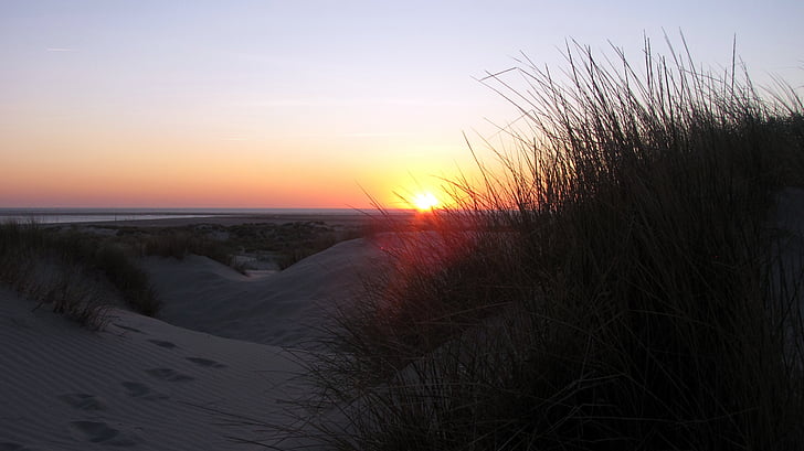 Borkum, puesta de sol, dunas, mar, sol