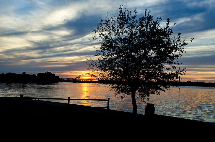 pôr do sol, rio Delaware, árvore