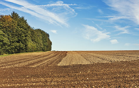 terres arables, Agriculture, tracteur agricole, agricole, photo de l’agro, Agrartechnik, agroéconomie