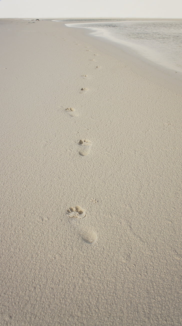 footprints, sand, foot, beira mar