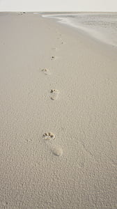 fodspor, sand, foden, Beira mar