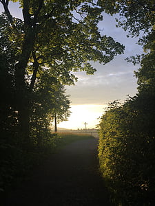 Sonnenuntergang, werden, Natur, Romantik, 'Nabend, Twilight, Schweiz