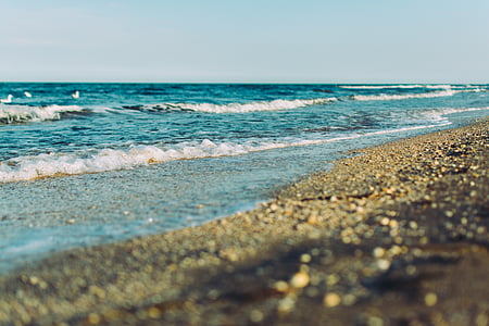 καφέ, στη θάλασσα, πλευρά, Άμμος, σώμα, νερό, φωτογραφία