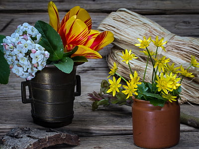 Natiurmortas, gėlės, puodelis, medienos, Deko
