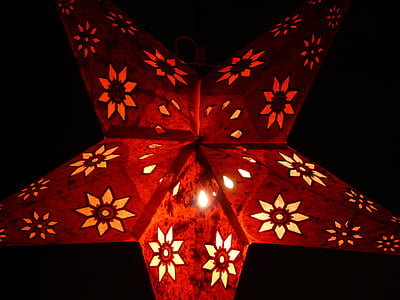 yıldız, Atatürk çiçeği, dekor, Noel, ışık, ışınları, aydınlatma