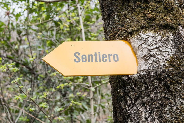 Ticino, Vall de Maggia, directori, distància, Senderisme, ingrowing, arbre