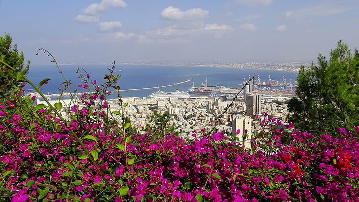 Israel, Haifa, port, himmelen, skyer, sjøen, blomst