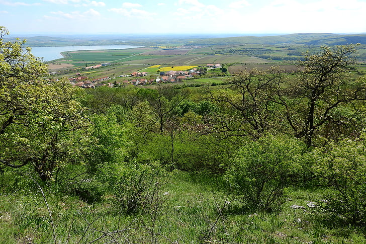 krajolik, Poljoprivredni krajolik, zelenilo, Koji zastranjuje, Pavlov, Moravska, Češka Republika