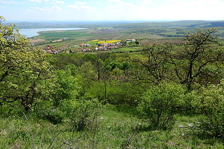 krajobraz, krajobrazu rolniczego, wsi, Devin, Pawłow, Morawy, Czechy