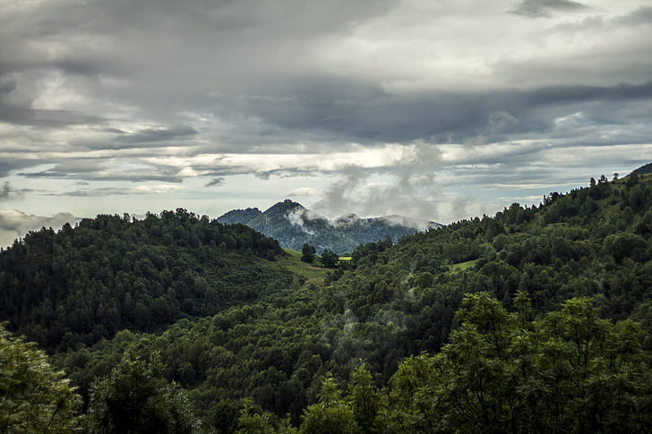 mountain, forest, valley, sky, landscape, nature, clouds