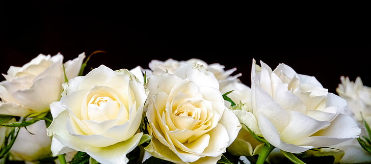 τριαντάφυλλα, μπουκέτο με τριαντάφυλλα, μπουκέτο, λευκό, Κίτρινο, πύλη, Ρομαντικό