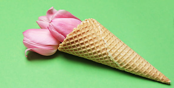 tulips, tulip flower, flowers, ice cream cone, waffle, yellow, pink