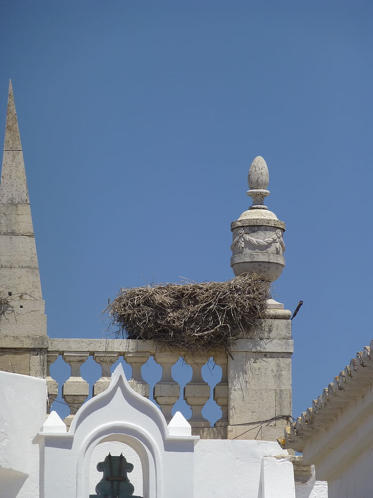 nest, stork, portugal, bird, architecture