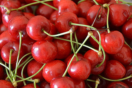 cherries, fruit, garden, cherry, red fruits, red, harvest