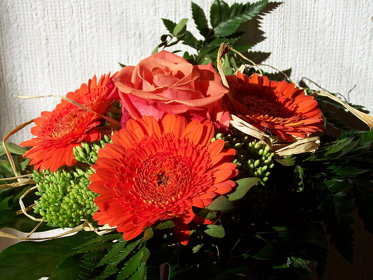 букет цветя, червен Гербер, рязани цветя, букет, цвете, червен, природата