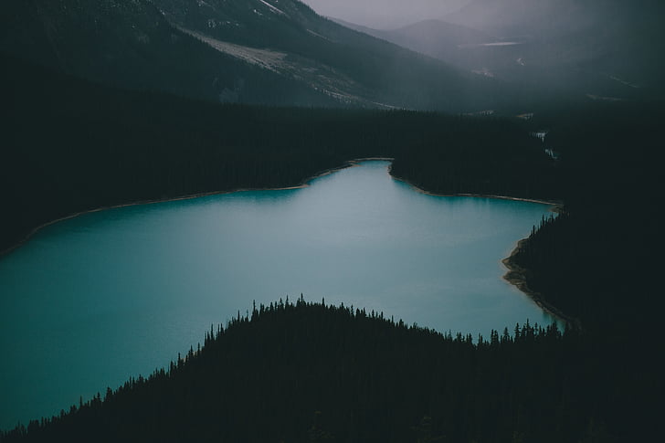 foggy, forest, lake, mountain, nature, trees, water
