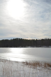 pond, frozen, ice, forest, snow, winter, icy