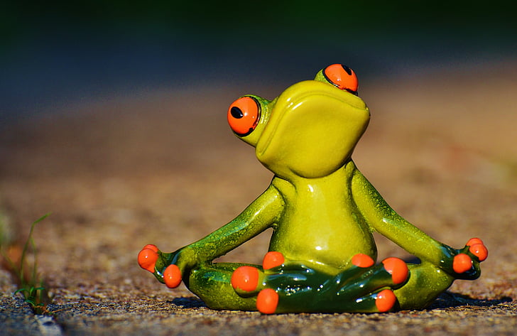 Yoga, grenouille, assouplies, Figure, drôle, reste, détente