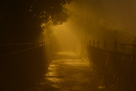 noche, Hong kong, luz, hay niebla, Victoria, pico, ciudad